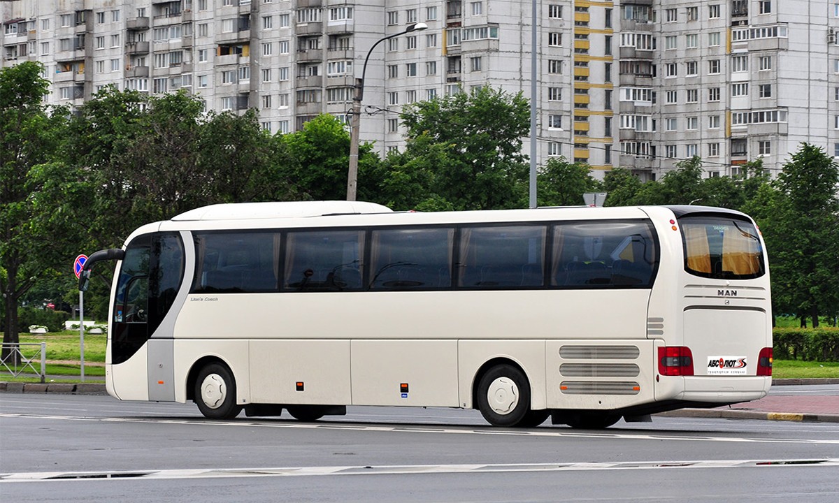 Аренда автобуса Man Lion‘s Coach (белый)  - фото 2